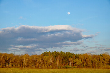 Daytime scene of a green field, trees, white clouds in blue sky with visible moon.