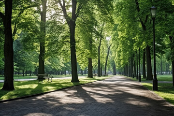 Obraz premium Green park with walkway and trees in spring, closeup of photo