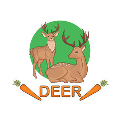 deer with carrot illustration