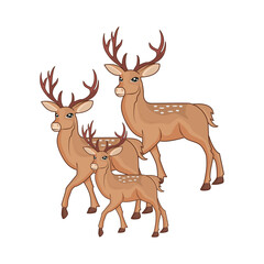 deer animal illustration