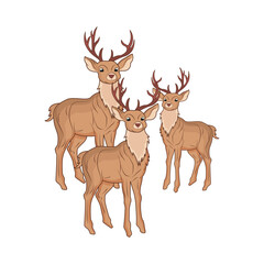 deer animal illustration
