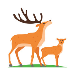 deer illustration