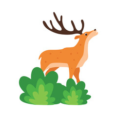 deer in grass illustration