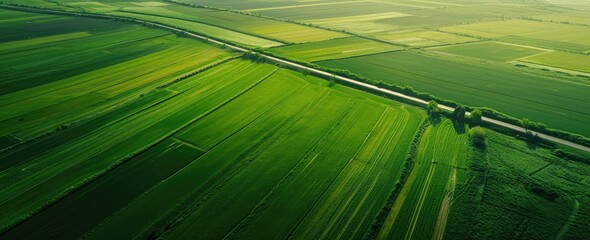 Farmland unfolds beneath in an aerial panorama, depicting the agricultural expanse from above.
