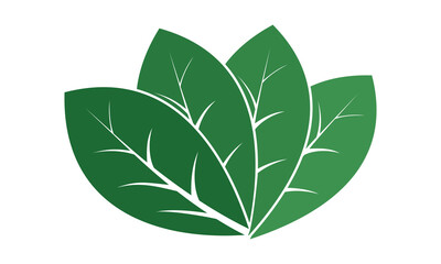 Leaves nature illustration design vector