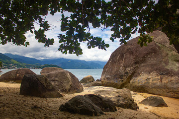 Fototapeta na wymiar Rocks on the beach and tree leaves