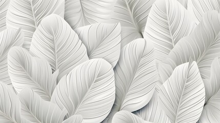 Collection of tropical leaves,foliage plant in white color.Abstract leaf decoration design background