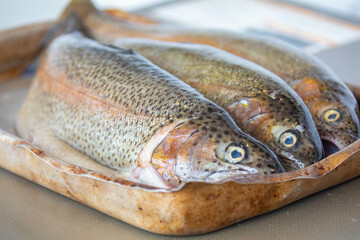 Rainbow trout (Oncorhynchus mykiss) cleaned. Typical fish from fresh, cold and oxygenated water
