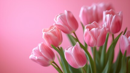 Naklejka premium A bouquet of pink tulips on a soft pink background. Generative ai