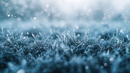 Close up of dark frozen grass covered with snow flakes, blending with fresh white and dark green colors.