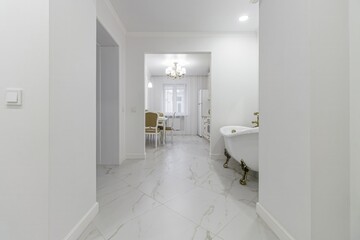 Freestanding bathtub bowl located in the hallway of the apartment, large mirror on the wall