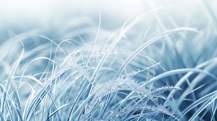 Frosty Whispers: Wavy grass delicately frozen, each blade adorned with a whisper of ice and snow.