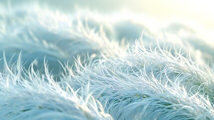 Obraz premium Frozen grass covered in white snow, blending with fresh white and green colors.