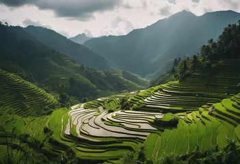 Photo sur Plexiglas Rizières Panoramic landscape of Indonesian rice field terraces on a mountain ricefield terrace super wide ric