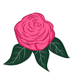 Rose illustration floral decoration leaf doodle with green and pink colors  that can be used for social media, sticker, wallpaper, print, decoration, card, icon e.t.c
