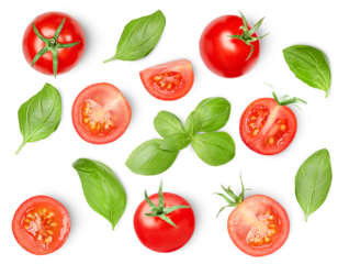 Cherry tomatoes and basil leaves on a white isolated background, top view