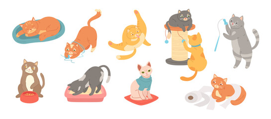 Fototapeta premium Funny domestic cats. Cute felines, kitten in litter box and playful cat stretching, sleeping and eating. Cartoon vector illustration set