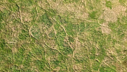 Naklejka premium Drone aerial of Natural wetland marsh at Montezuma Wildlife Refuge in Up State New York landscape