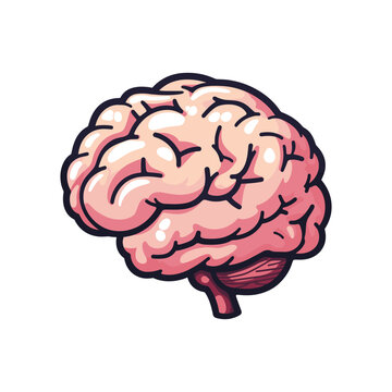 Simple human brain isolated on white background cartoon vector.