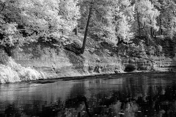 black and white landscape with trees at the water's edge, reflections on the water surface