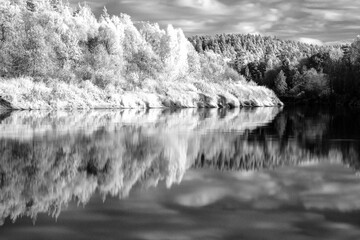 black and white landscape with trees at the water's edge, reflections on the water surface