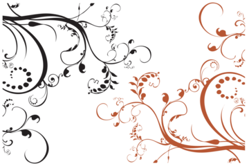 Free vector abstract line sample vector illustration isolated on white background