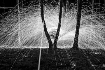 monochrome photo with silhouettes of trees against illuminated lights, light paintings