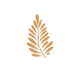 Fototapeta premium Flourish design elements set element vector