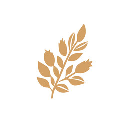 Flourish design set element vector