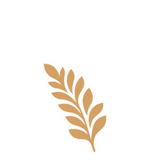 Flourish design set element vector