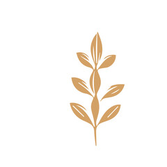 Flourish design set element vector