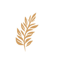 Flourish design set element vector