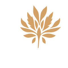 Flourish design set element vector