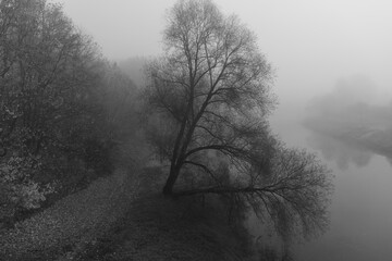 black and white photography, natural landscape, black and white natural view