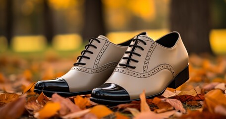 Discovering the Elegance of Autumn with Shoes that Perfectly Blend Comfort and Chic Design