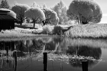 black and white landscape with trees at the water's edge, reflections on the water surface - Powered by Adobe