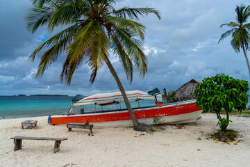 Red boat on sand beach shore behind single palm tree and blue caribbean water in background low...