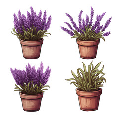 Set of Lavender flowers illustration on transparent background