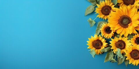 Sunflowers on blue background with Happy Mothers Day with out text