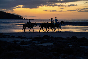 Fototapeta na wymiar Horseback riding people in front of sunset at Santa Catalina beach in Panama