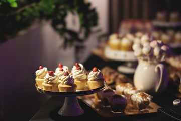 Delightful Delectables: A Stunning Table Overflowing With Homemade Cupcakes and Scrumptious Desserts