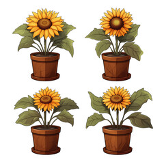 Set of sunflowers illustration in pots isolated on transparent background