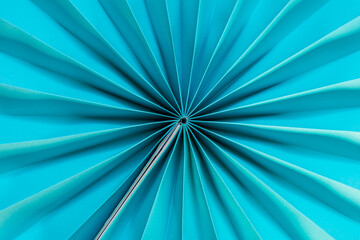 Turquoise paper rosette. Birthday garland. Party Decoration