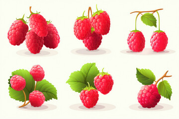 Juicy Red Raspberry: Fresh and Sweet Summer Berry on White Background