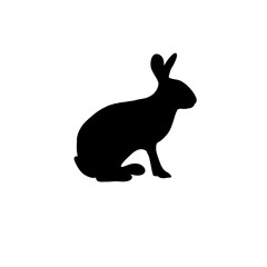 black rabbit silhouette