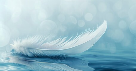 Fototapeta na wymiar Capturing the Softness and Lightness of a Swan's Fluffy Plumage Against a Blue Bird Water Background