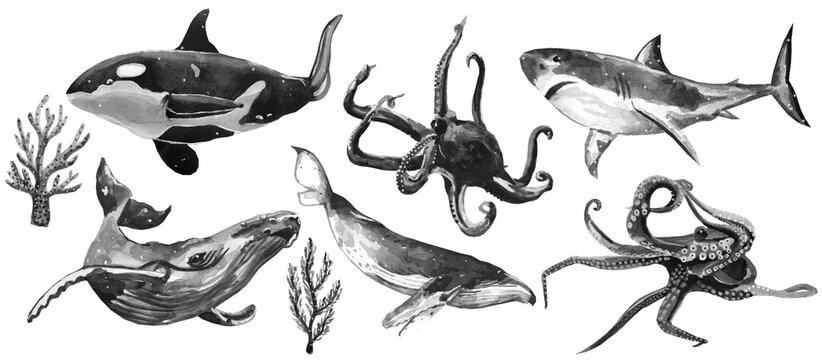 A set of Cute Underwater Animals.
