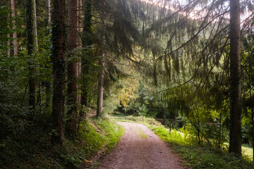 Black Forest Landscape, Germany Travel