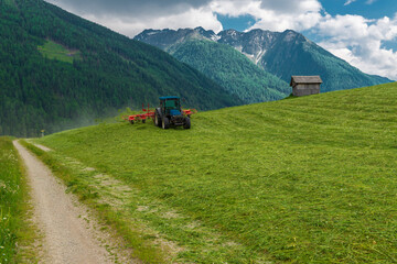 Naklejka premium Small tractor cuts fresh grass on the picturesque alpine meadow