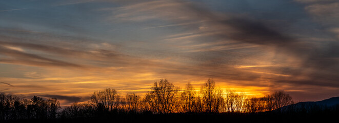 Bare Winter Trees Standing Silently as the Sun Sets Behind them